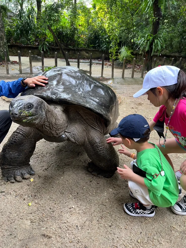 270公斤的巨型烏龜本尊。阿緯提供