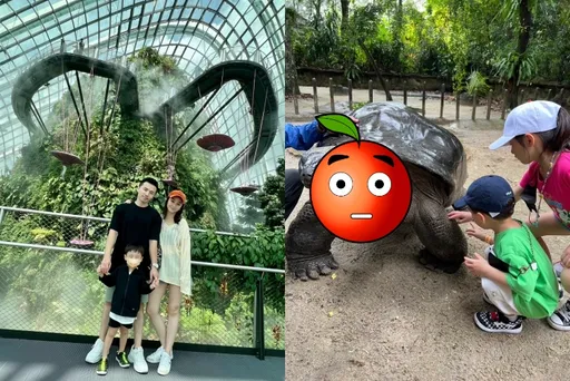 專訪|阿緯愛妻新年驚見270公斤巨龜 餐飲大亨零用錢只夠買1杯咖啡