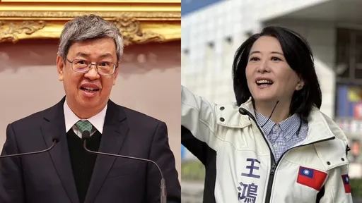 王鴻薇爆陳建仁抄襲!翁達瑞批她無知邪惡 醫轟:矛盾雙標