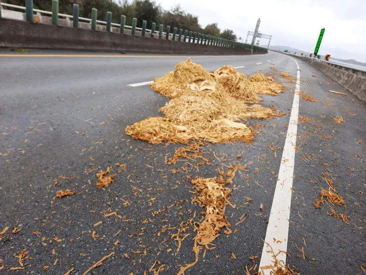 冥紙在快速道路上飛揚，讓用路人驚訝。民眾提供
