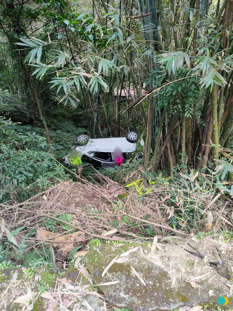 車輛翻落10公尺深山谷，被竹林卡住才會繼續往下墜落。三峽警分局提供