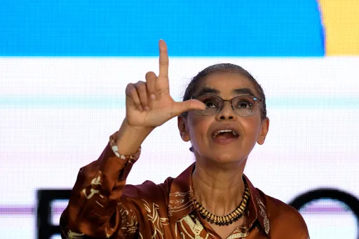 救雨林有望？巴西新任環境部長上任　新增森林砍伐控制單位