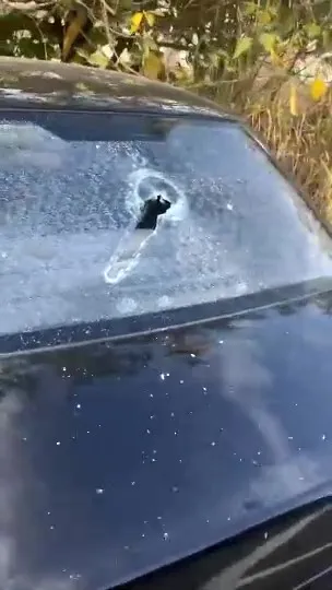 女車主後擋玻璃遭砸破。車主提供