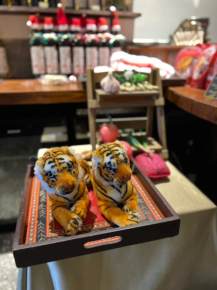 雙胞胎屬虎。趙大智攝