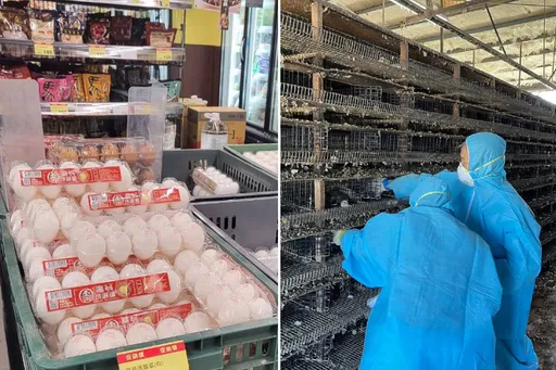 缺蛋了?大卖场公告禽流感蔓延 洗选、冷藏蛋断货!真相是这样