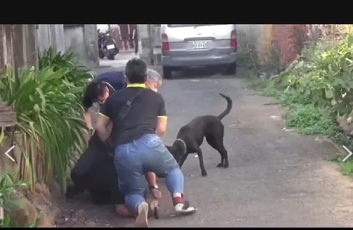 靈犬片|百公斤槍毒犯遭2警壓制 黑狗衝出幫補腳