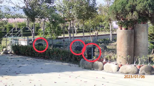 恐怖3獒犬扑倒邮差狠咬 手脚喷血送医抢救!饲主道歉了