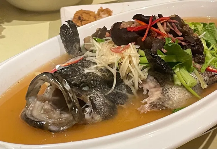 北市產發局表示，營養午餐的漁貨需較肥大，但魚還沒養大就被外面餐廳訂走。示意圖。陳明萱攝