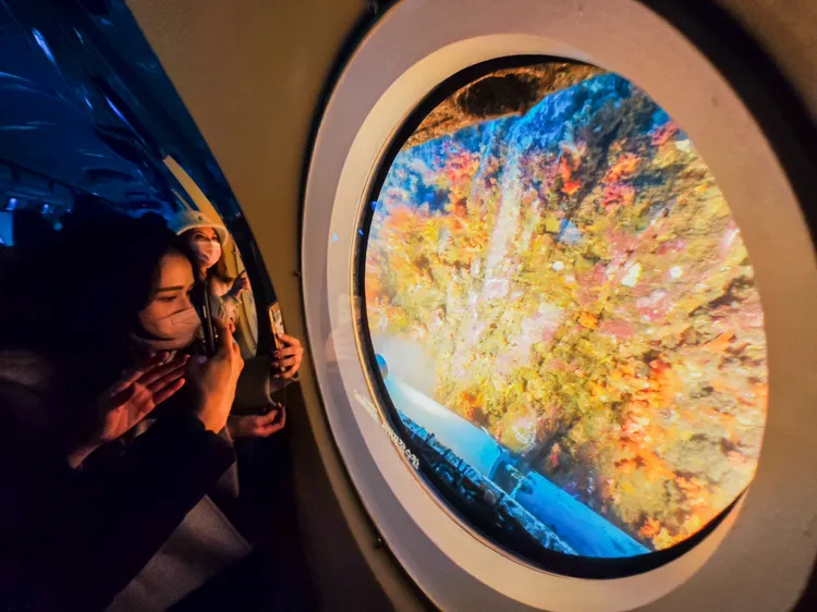 燈光一亮！眼前的珊瑚牆瞬間變得五彩斑斕，引得全船遊客一陣驚嘆。田欣雲攝