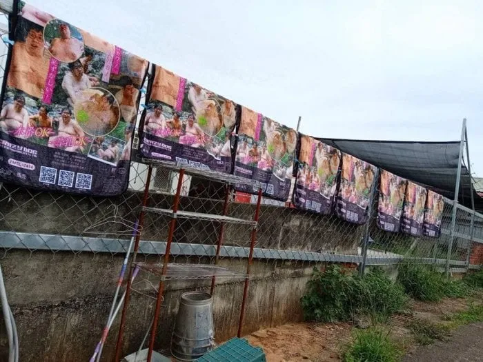 網友在《Dcard》論壇分享知名實況主國動送AV毯給狗園的照片，引發熱議。翻攝《Dcard》論壇