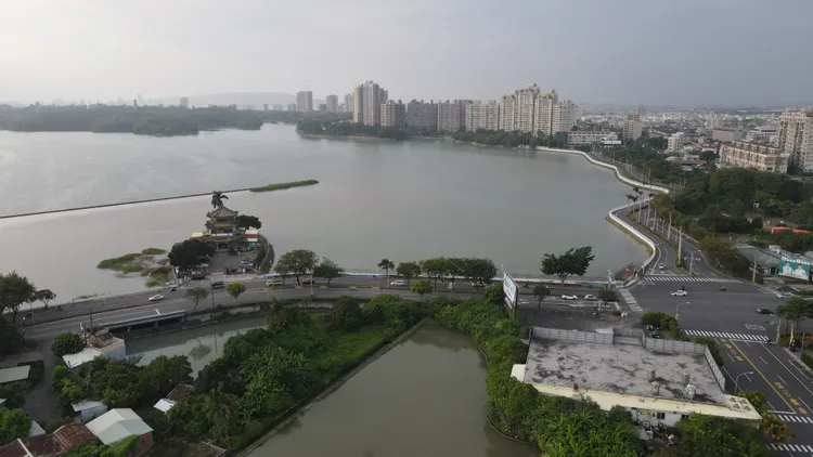 澄清湖湖岸水泥化、道路、高樓建案的影響，現在水鳥都很難看到。森林城市協會提供