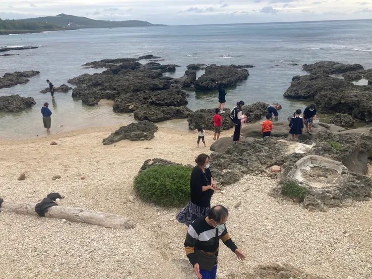 乾淨的萬里桐海灘，清澈的礁岩淺水間，不時可見各式海洋小生物。陳宏銘攝