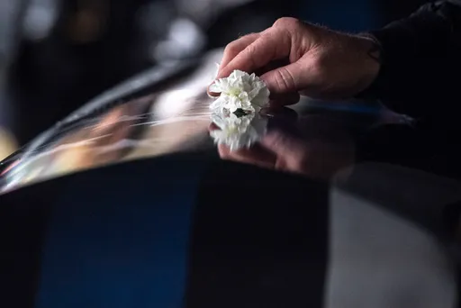 全美第6州！紐約州批准「人類遺體堆肥」　這國早已合法