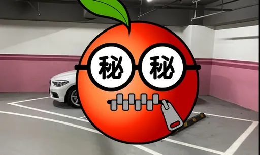 「地獄車位」驚見真正的老司機！　網笑：三寶還是可以搞到你