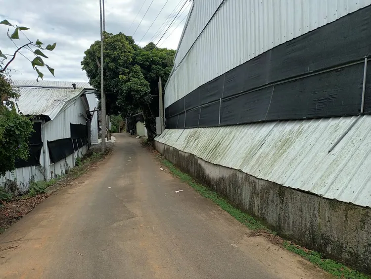 黃嫌酒後持槍前往新社區慶西里上坪找尋被害人理論，以槍柄痛毆被害人頭部。讀者提供