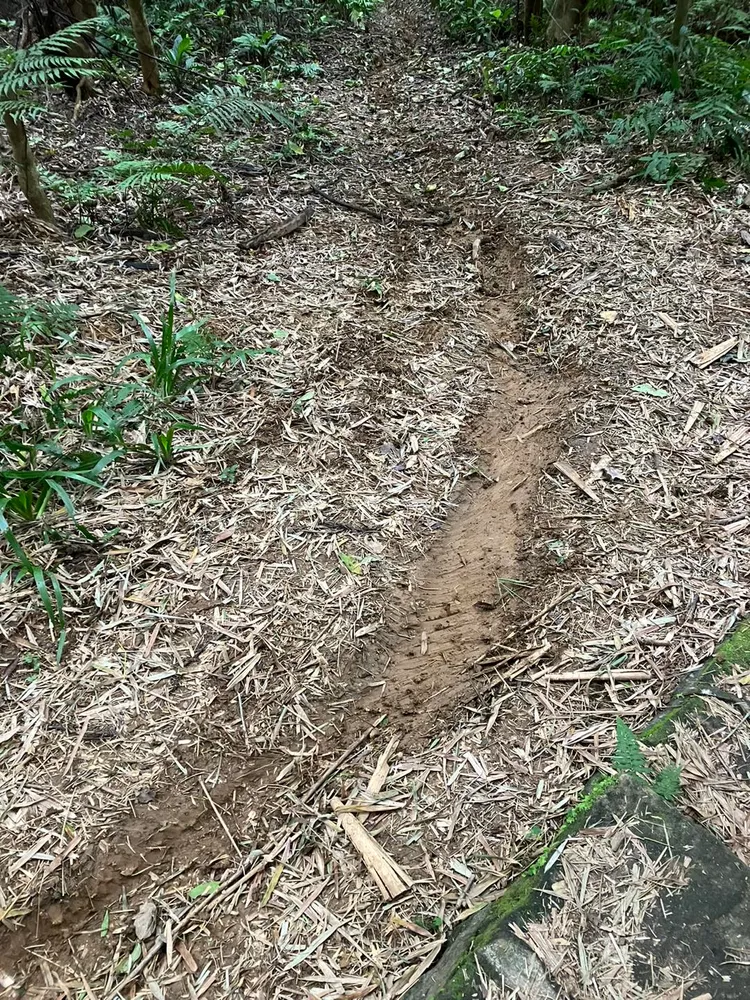 越野摩托車胎造成的地面刮痕。翻攝自臉書「B612小行星私塾」