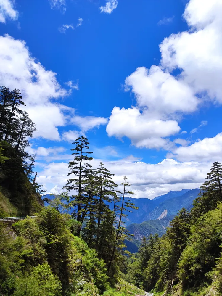 南橫公路風景壯麗，可以泡湯、賞花、生態之旅。羅琦文攝