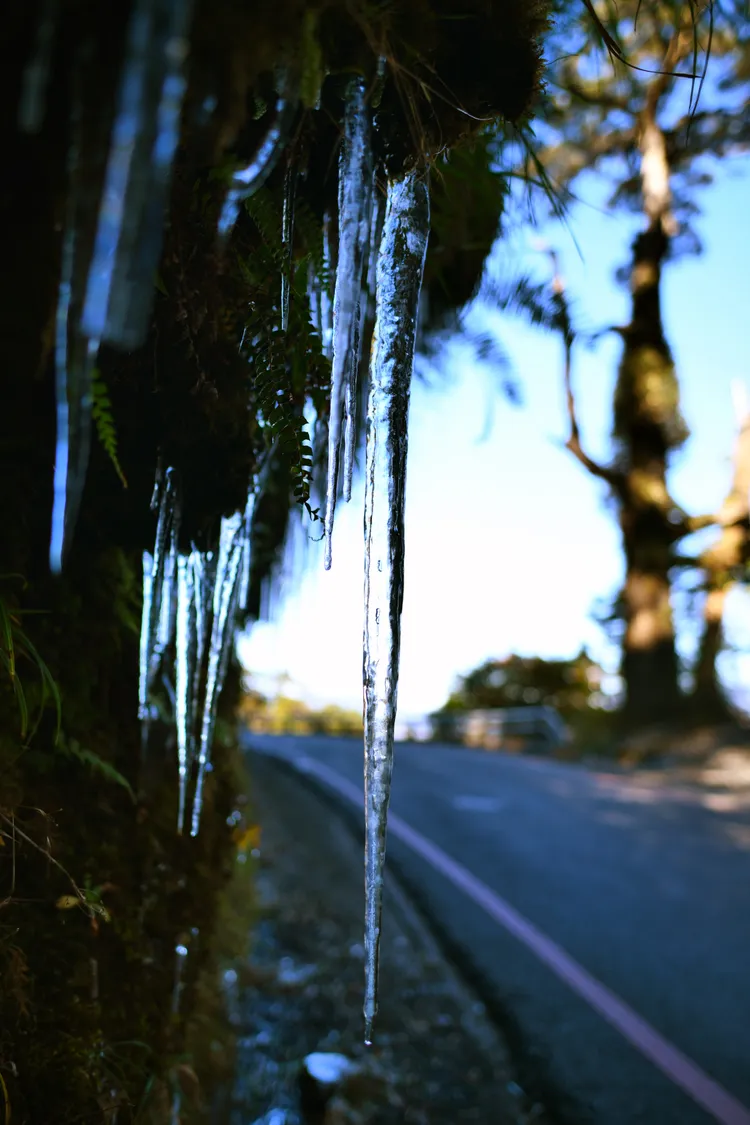 南橫公路旁的冰柱，相當迷人。甲仙工務段提供