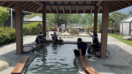 走春趣|賞花、溫泉、生態之旅 南橫公路三大玩法報你知
