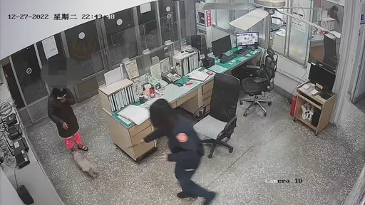 臉書強大！苗栗馬爾濟斯與主人走散　女警PO文順利團聚