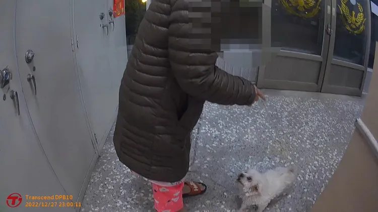 主任看到貼文後趕緊到派出所領回愛犬。警方提供