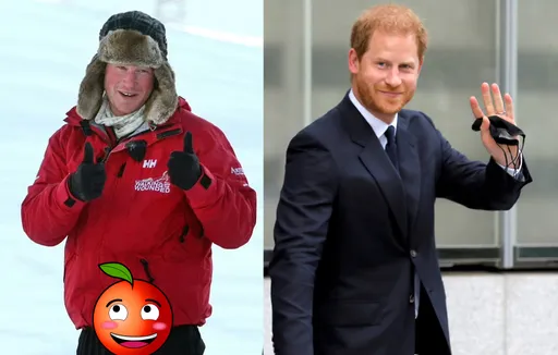 哈利王子出賣私密處　自爆闖北極「生殖器遭凍傷軟趴趴」