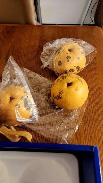 一打開好市多總統梨嚇見「6顆裝爛掉3顆」。翻攝臉書「Costco好市多 商品經驗老實說」