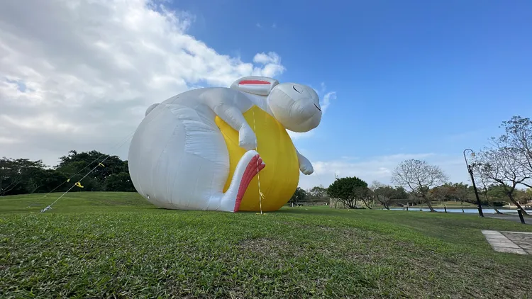 坐在綠色草地上的咚咚兔，模樣幸福可愛。林泊志攝