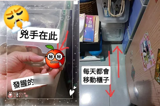 房間夜裡常飄出魚腥味! 她怪女兒「打翻魚湯」7天後發現兇手是它