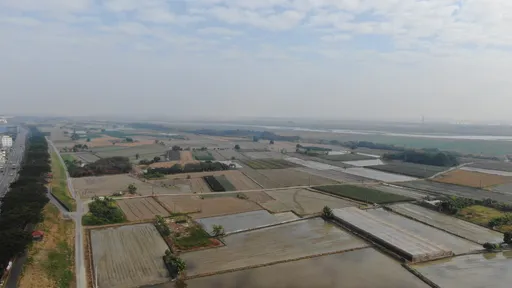 偏北風降速停高雄 空品亮橘燈「過敏兒午後待室內」