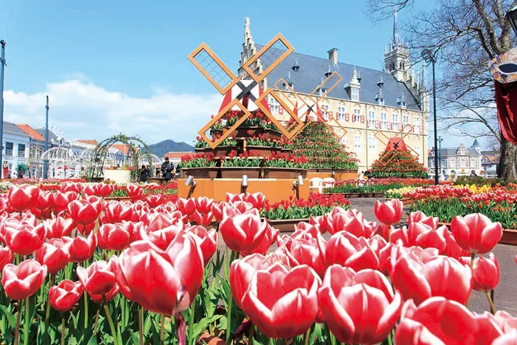 「日本九州溫泉酒店5日遊」豪斯登堡賞鬱金香花海，每人3萬有找。可樂旅遊提供