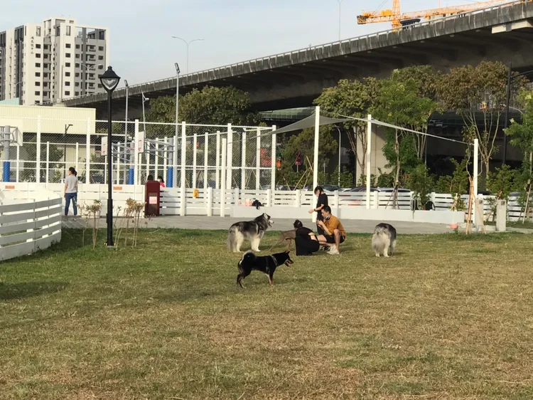 寵物活動區。台中市政府提供