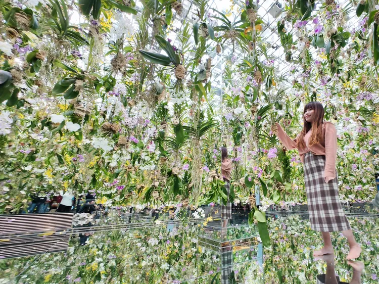 東京豐洲teamLab Planets TOKYO展品《漂浮的花園──花朵與我同根同源，花園與我合為一體》。田欣雲攝