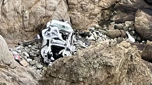 特斯拉墜「25樓高魔鬼坡懸崖」4人全活 警察震驚直呼太神奇