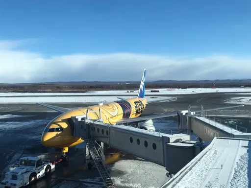 北海道探零下30度低溫 新千歲機場湧收假人潮