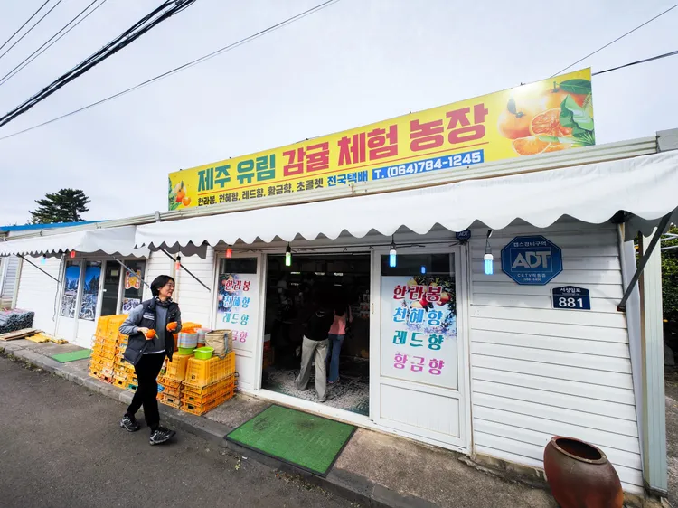 「濟州有林」栽種橘子的區域雖不大，但在這裡卻可買到橘子維他命、橘子巧克力、橘子乾、橘子QQ糖等農產加工品。田欣雲攝