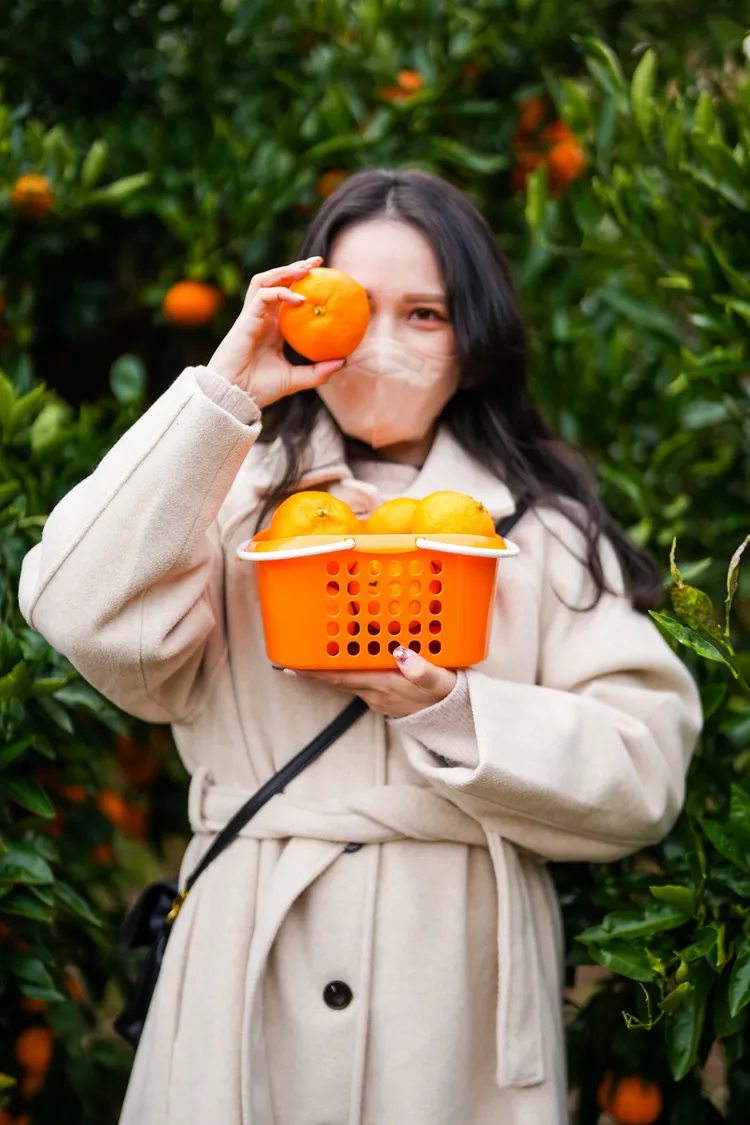在橘子園裡還能拍網美照留念。田欣雲攝