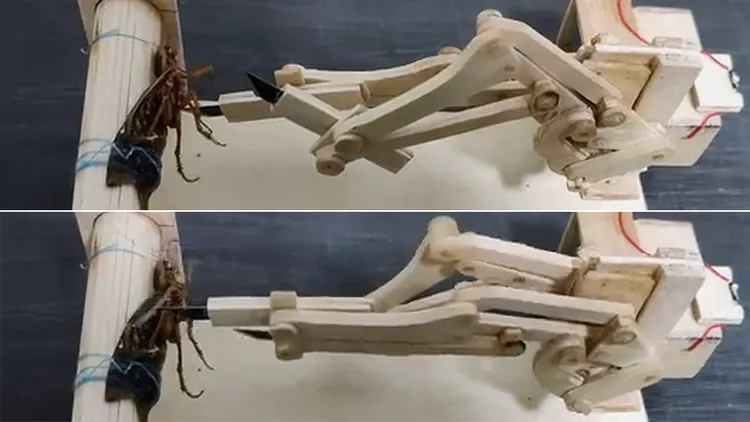 凌遲機。翻攝自《bilibili》