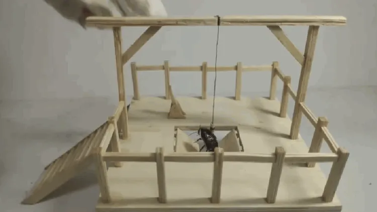 絞刑架。翻攝自《bilibili》