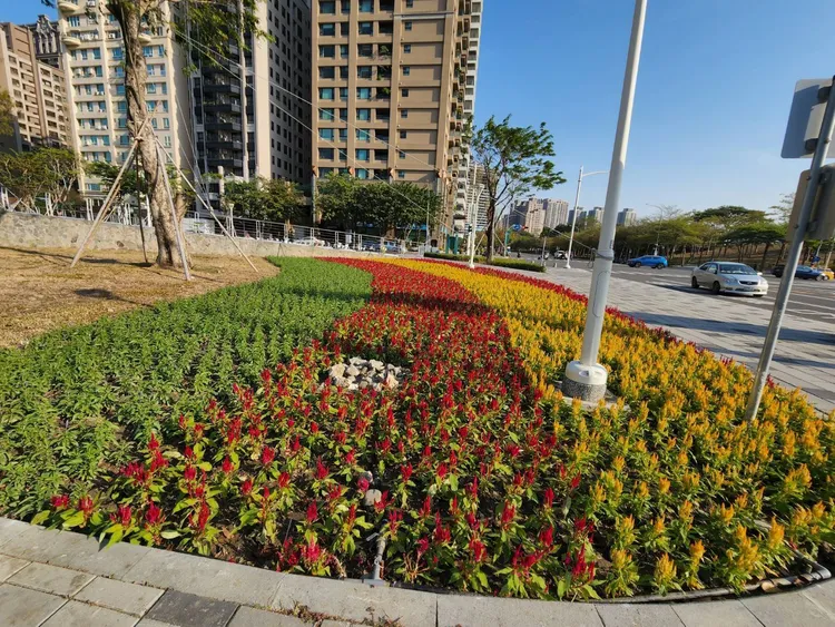 左營園道。水利局提供