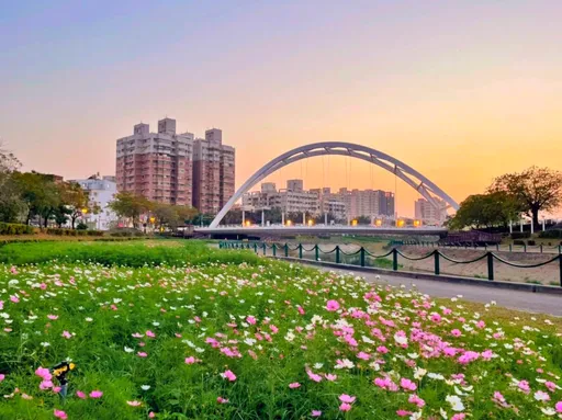 繁花迎新年 高雄河岸綠地十萬花株綻放到春節