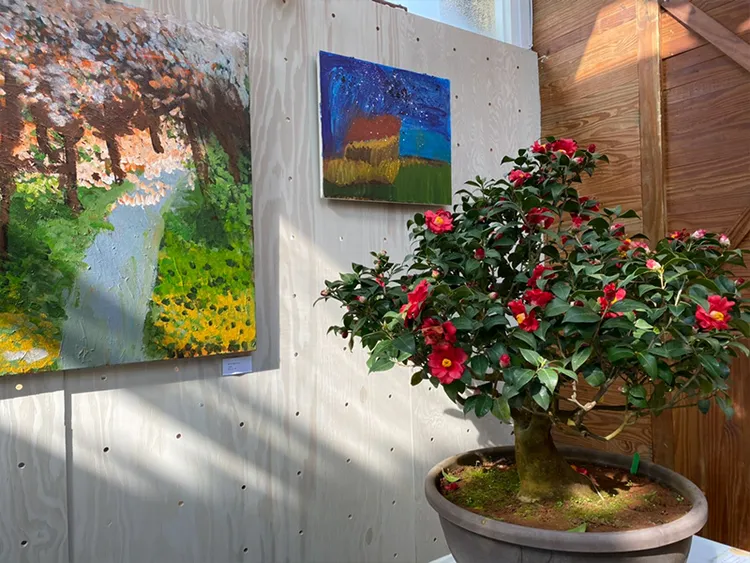 2023首檔花展為1/6至1/15開展的「台北茶花展」。北市工務局提供