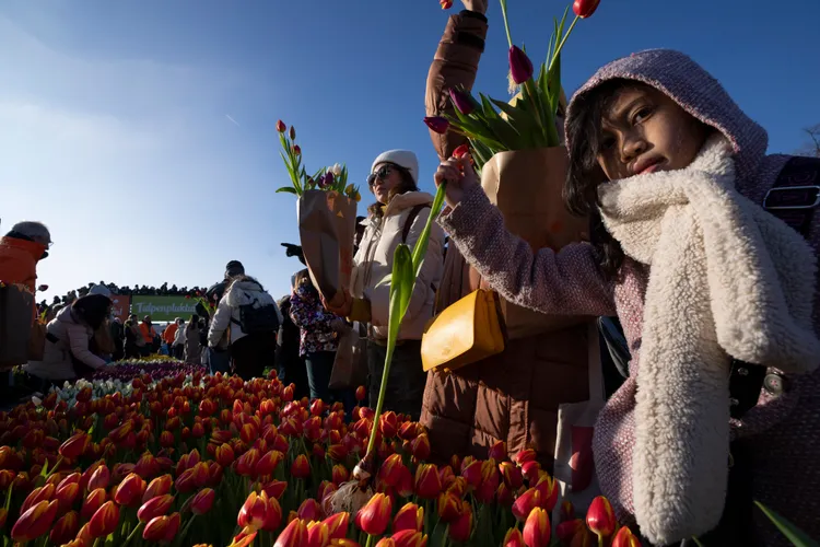 民眾欣賞花景。美聯社