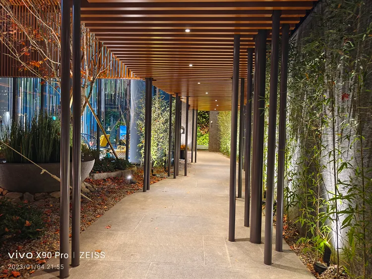 使用夜拍模式，拍攝速度非常快。王雪玲攝