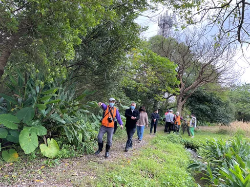 新北「漳和濕地」維護工作榮獲肯定 為觀摩示範單位
