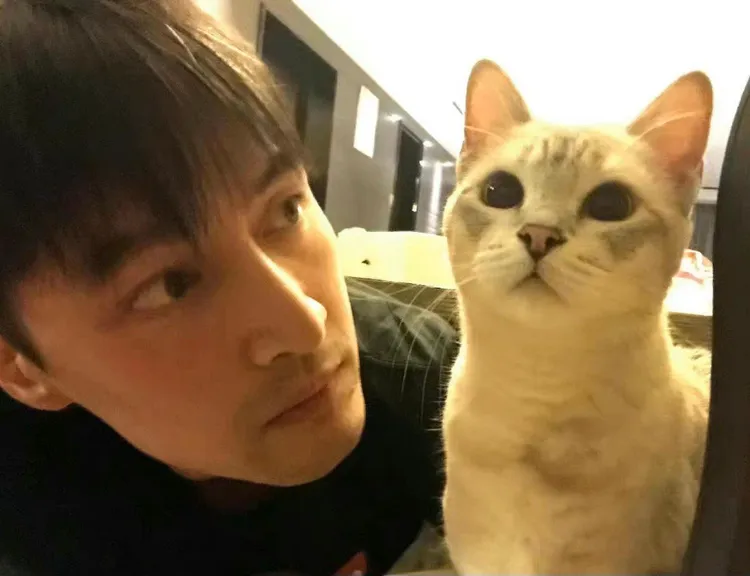 胡歌是演藝圈中的資深「鏟屎官」，據悉他家中至少有5隻喵星人出沒。翻攝胡歌微博