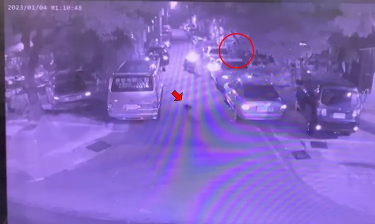 歹徒（紅圈處）持棍棒敲毀車窗時發出巨響，嚇得路旁的野貓（紅色箭頭處）急忙逃走。讀者提供