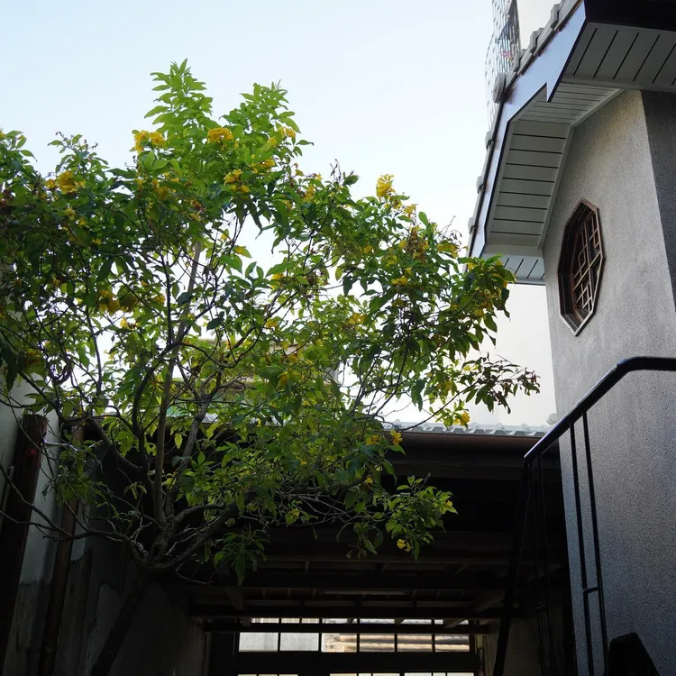 Swallow Tainan 嚥・台南。照片來源為wallow Tainan 嚥・台南FB