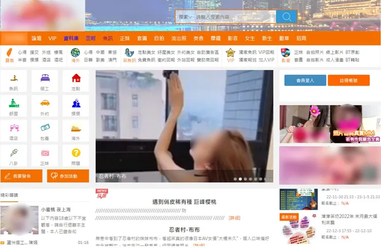 吳姓男子經營情色網站，刊登大量裸露照片及媒介性交易訊息。翻攝畫面
