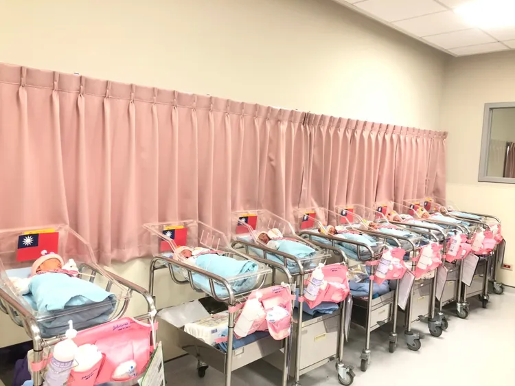 元旦寶寶。市府提供